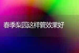 春季梨园这样管效果好