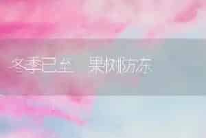 冬季已至 果树防冻