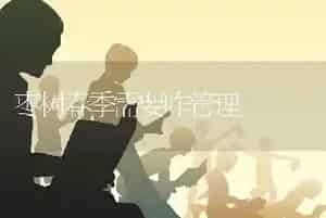 枣树春季需要咋管理