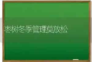 枣树冬季管理莫放松