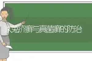 春季葡萄咋剪枝