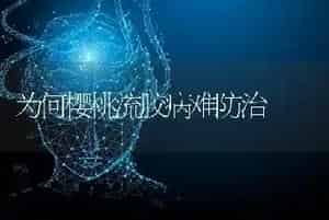 为何樱桃流胶病难防治