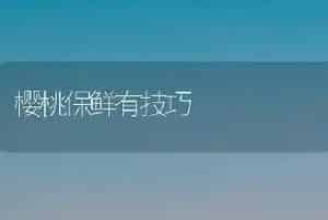 樱桃保鲜有技巧