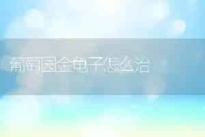 葡萄园金龟子怎么治