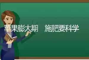苹果膨大期 施肥要科学