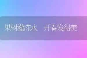 果树灌冻水 开春发得美