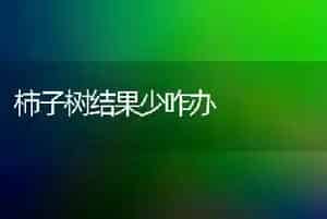 柿子树结果少咋办
