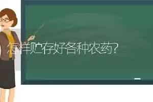 怎样贮存好各种农药?