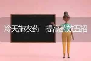 冷天施农药 提高药效五招