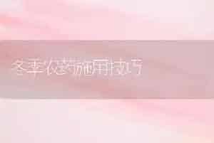 冬季农药施用技巧