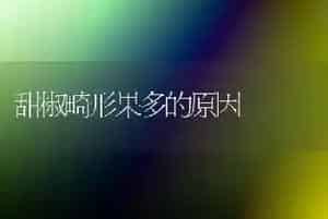甜椒畸形果多的原因