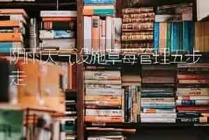 阴雨天气设施草莓管理五步走