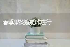 春季果树追肥咋进行