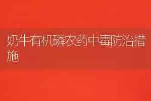 奶牛有机磷农药中毒防治措施
