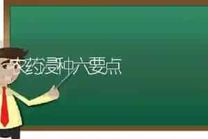 农药浸种六要点