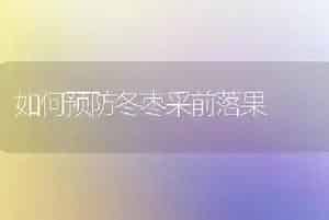 如何预防冬枣采前落果