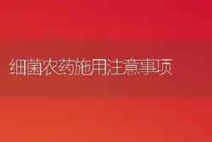 细菌农药施用注意事项