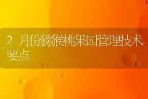 2月份猕猴桃果园管理技术要点