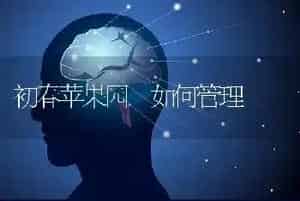 初春苹果园 如何管理