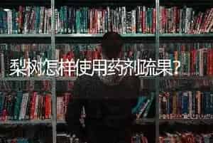 梨树怎样使用药剂疏果?