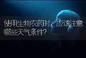 使用生物农药时,应该注意哪些天气条件?
