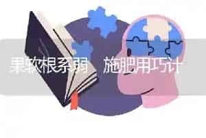 果软根系弱 施肥用巧计
