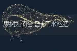 果树如何合理使用水溶肥