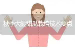 秋季大棚甜瓜栽培技术要点