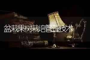 盆栽果树栽培管理技术