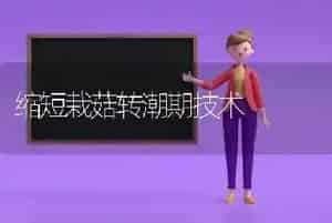缩短栽菇转潮期技术