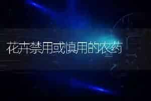 花卉禁用或慎用的农药
