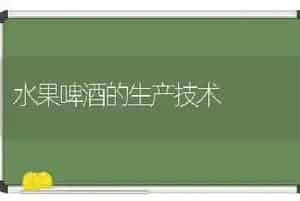 水果啤酒的生产技术
