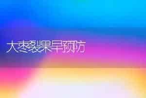 大枣裂果早预防