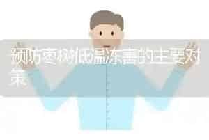 预防枣树低温冻害的主要对策