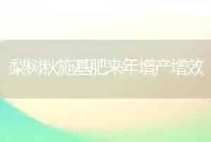 梨树秋施基肥来年增产增效