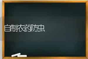 自制农药防虫