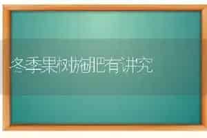 冬季果树施肥有讲究