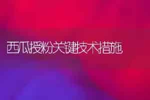 西瓜授粉关键技术措施
