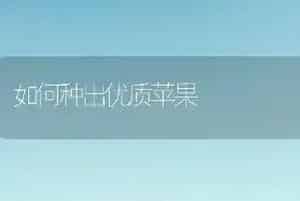 如何种出优质苹果