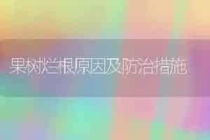 果树烂根原因及防治措施