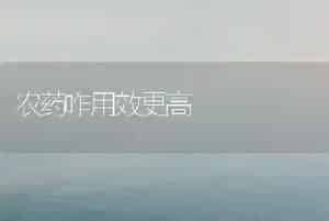 农药咋用效更高