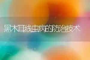黑木耳线虫病的防治技术