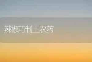 辣椒巧制土农药
