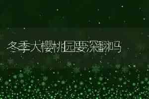 冬季大樱桃园要深翻吗