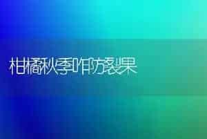 柑橘秋季咋防裂果
