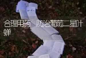 合理用药 防治葡萄二星叶蝉