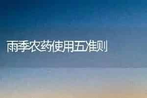 雨季农药使用五准则
