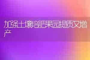 加强土壤培肥果园提质又增产