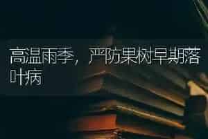 高温雨季,严防果树早期落叶病