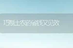 巧制土农药省钱又见效